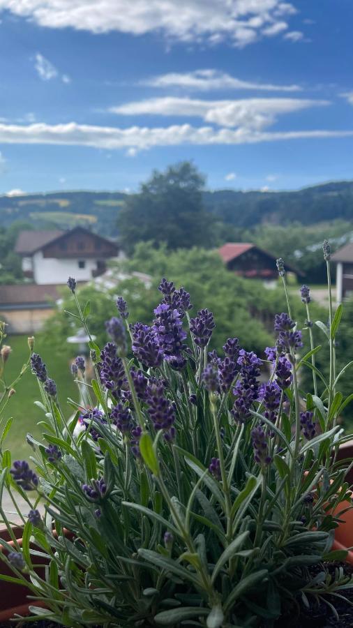 Ferienwohnung Alpseeliebe Immenstadt im Allgaeu Luaran gambar