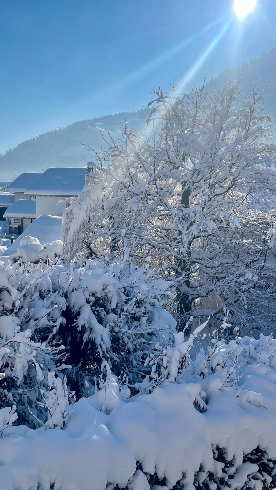 Ferienwohnung Alpseeliebe Immenstadt im Allgaeu Luaran gambar